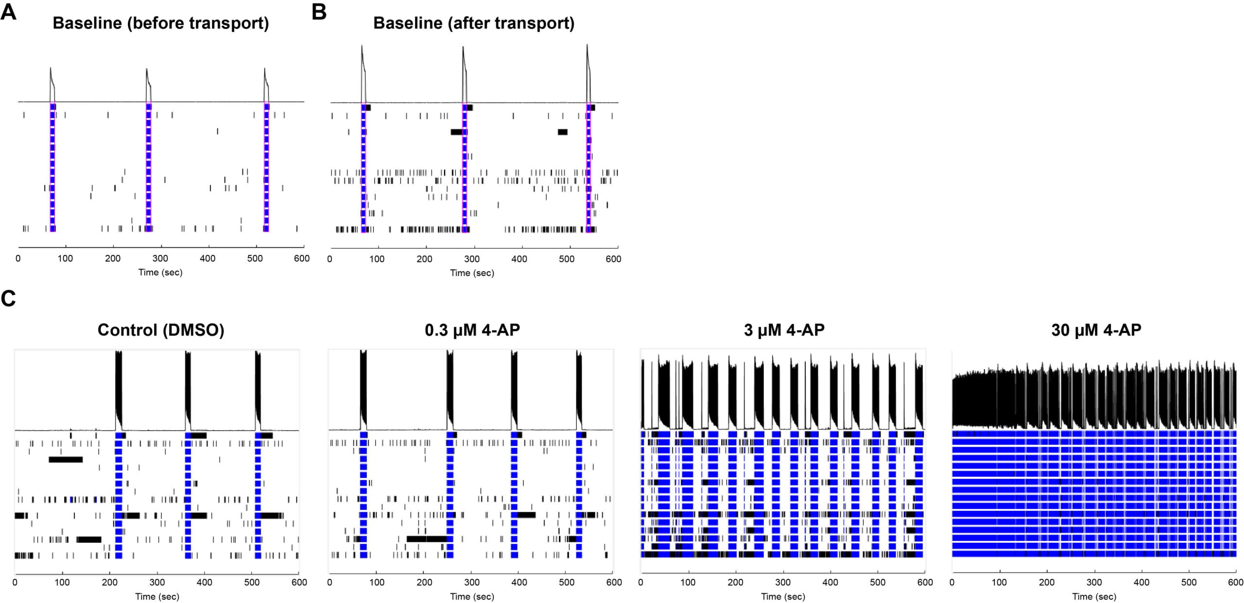 iPSC-derived Neurons seeded onto MEA plates remain functional after transport.