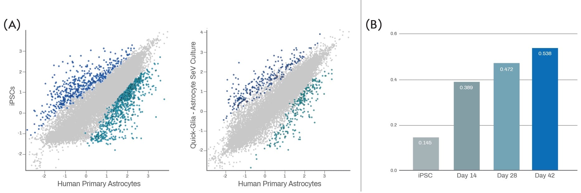 iPSC-derived Astrocyte Gene Expression Profile