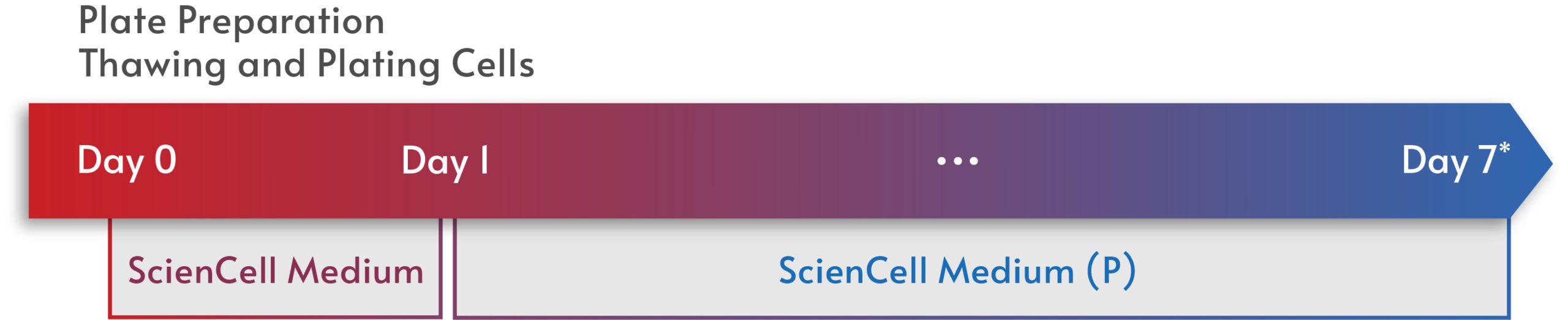 AS-SeV-CW_workflow