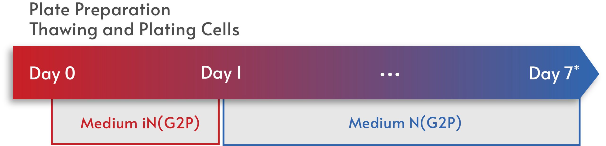 EX-SeV-CW Workflow