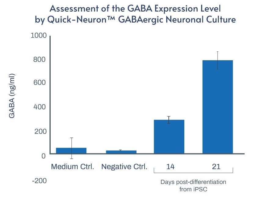 The data demonstrates the GABA expression level by Quick-Neuron™ GABAergic Neuronal Culture 14 and 21 days differentiation. Day 21 expresses 790.482 GABA ng/ml.