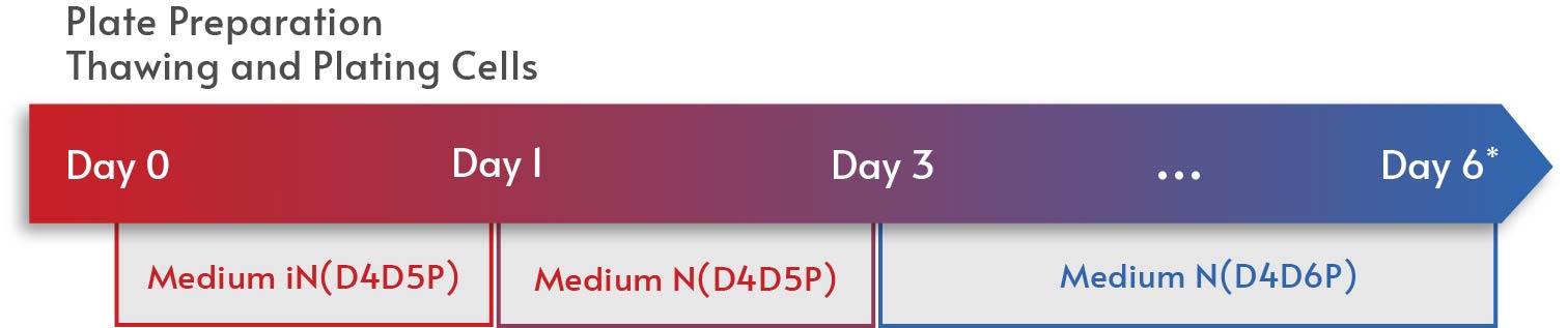 iPSC-derived Dopaminergic Neuron workflow